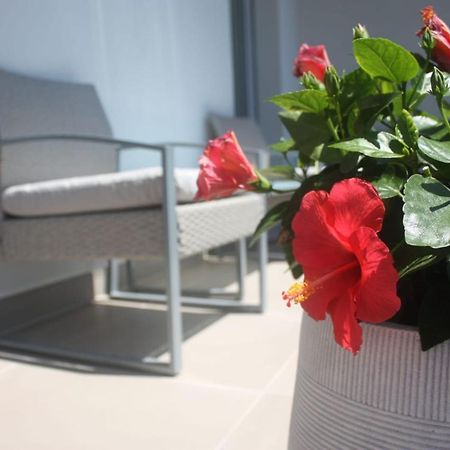 Wind Rose Apartments Torbole Sul Garda Exterior photo